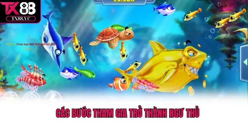 Các bước tham gia trở thành ngư thủ